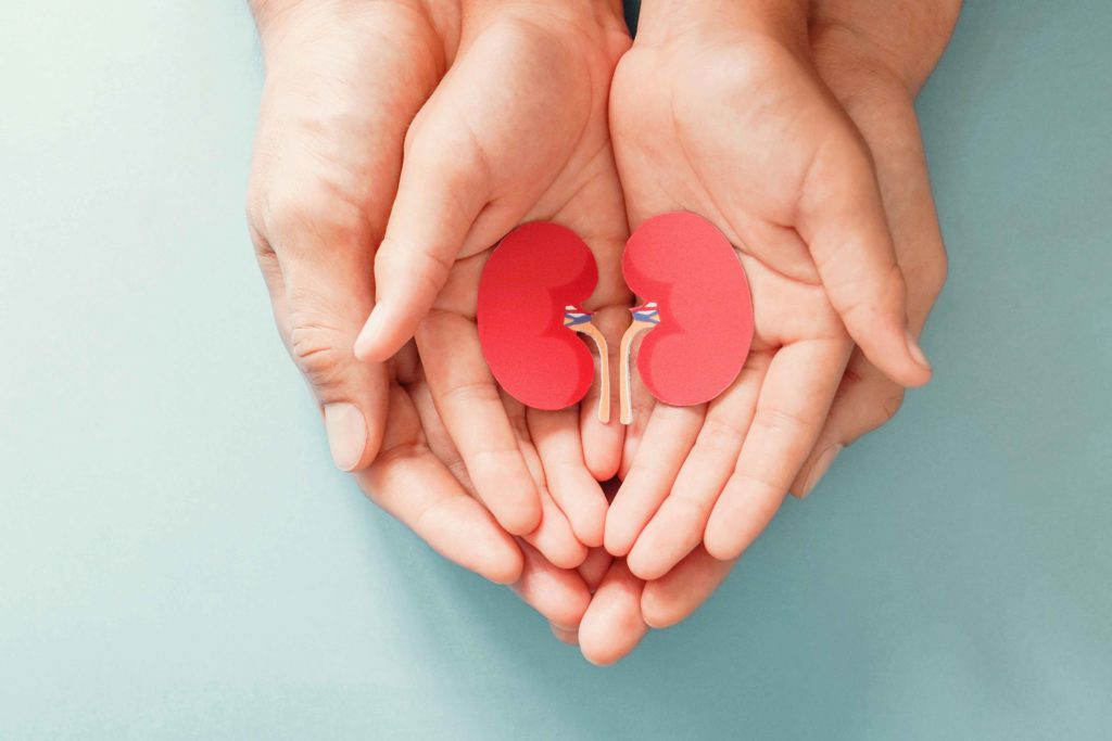 Pediatric Nephrology image